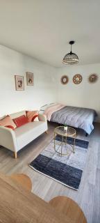 Studio belle terrasse 2min des plages - Cannes - 2