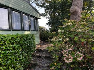 Old Mill Retreat, by River/Sea/Country Nr Barmouth Dogs - 7