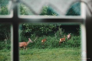 Kökényház vendégház - 3