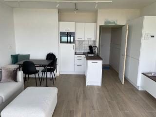 Studio met frontaal zeezicht en afgesloten slaaphoek - 7