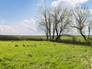 Gymmin House - Pendine - 9