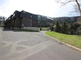 Appartement T2 au Mont-Dore, pied des pistes, parking inclus, capacité 4 pers. - FR-1-415-154 - Mont-Dore - 1