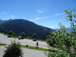 Studio cabine à Vallandry, 22m², 4 pers, proche pistes et commerces - FR-1-411-940 - Landry - 7