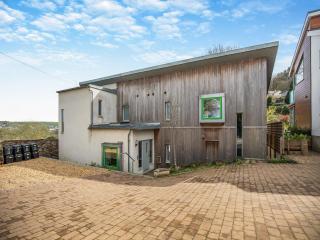 Earthspring Flat - Totnes - 5
