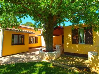 Studio für 5 Personen ca 65 qm in Fažana, Istrien Istrische Riviera - b54531 - Fažana - 7