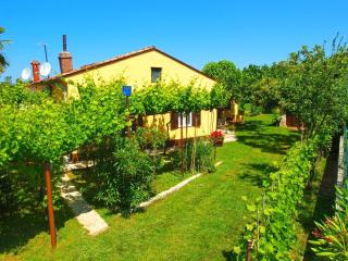 Studio für 5 Personen ca 65 qm in Fažana, Istrien Istrische Riviera - b54531 - Fažana - 3