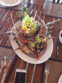 Kitelantis Hotel and Resort - Kalpitiya - 7