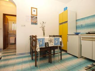 Studio für 4 Personen ca 40 qm in Poreč, Istrien Istrische Riviera - b55077 - Poreč - 4