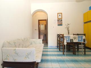 Studio für 4 Personen ca 40 qm in Poreč, Istrien Istrische Riviera - b55077 - Poreč - 5