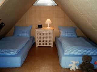 De Höller - Dakappartement met Toren - - 1