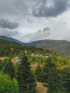 Artllers at Vicctoria House - McLeod Ganj - 5