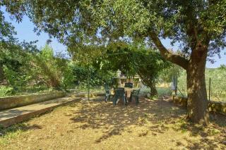 Ferienwohnung für 4 Personen ca 40 qm in Banjole, Istrien Istrische Riviera - Banjole - 7