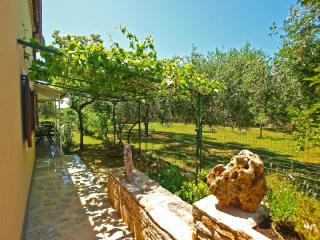 Ferienhaus mit Privatpool für 8 Personen ca 80 qm in Fažana, Istrien Istrische Riviera - Fažana - 1