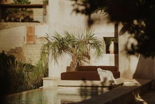 Ecohotel El Agua - Arico el Nuevo - 0