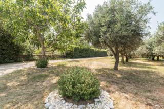 Studio für 4 Personen ca 40 qm in Ližnjan, Istrien Südküste von Istrien - b55129 - Ližnjan - 3