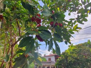 Sky homestay - Ampara - 6