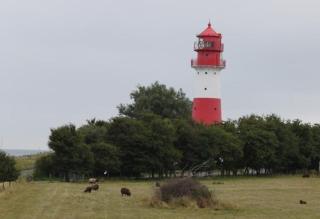 Ferienwohnung Für 2 Erwachsene An Der Ostsee - 1