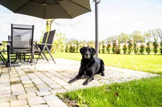 Ferienwohnung "Stellmacherei" - Versmold - 9