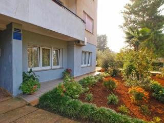 Studio für 4 Personen ca 51 qm in Fažana, Istrien Istrische Riviera - Fažana - 5
