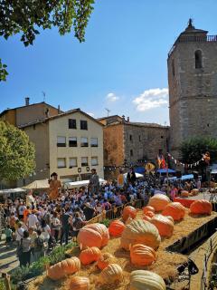 Allotjament turístic Cal Minguell - Sant Llorenç de Morunys - 8