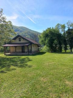 Drinski Zen - - 6
