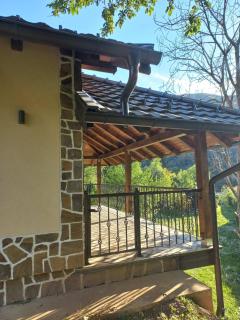 Drinski Zen - - 5