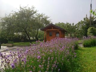 Wohnung Lapanja 2 Mit Gemeinschaftsgarten - Slap ob Idrijci - 8