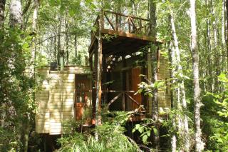 Casita Arbol - 2