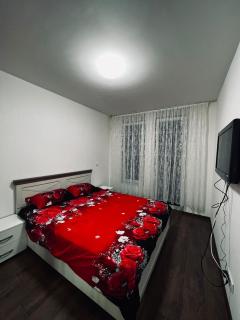 Apartman Magnolia - Novi Pazar - 3