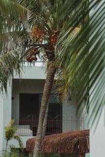 Luau Hotel - Guajiru - 2