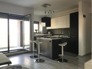 Luxurious penthouse-apartment P1 - Bucharest - 8