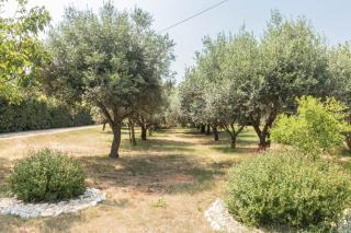 Studio für 6 Personen ca 46 qm in Ližnjan, Istrien Südküste von Istrien - Ližnjan - 4