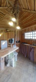 Cabanes des Landes- cabane sur pilotis - 5