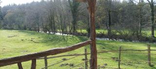 Cabanes des Landes- cabane sur pilotis - 6