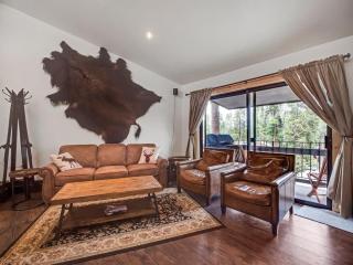 Cozy 2BR Condo Near Peak 8 and Town with Hot Tub Access - 5