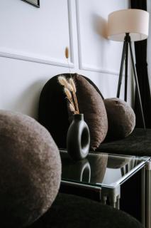 French Nest Apartment Prishtina - 4