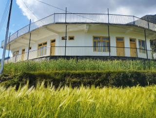 Yellow House - Dharamshala - 0