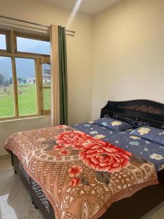 Yellow House - Dharamshala - 2