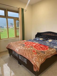 Yellow House - Dharamshala - 1