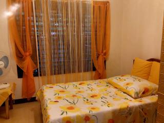 francia borjal 3-bedroom, 2 t&b shared apartment - Città di Puerto Princesa - 4