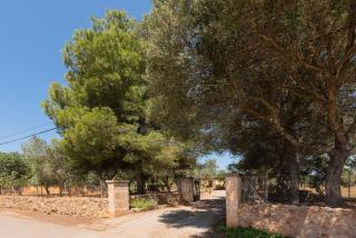 Unterkunft VILLA ES TRES PINS - Campos - 8