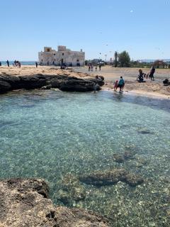 Bella Puglia Bed and Breakfast - Ruvo di Puglia - 1