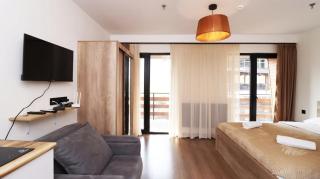 Bright Studio Apartment in Marshall Gudauri - 7