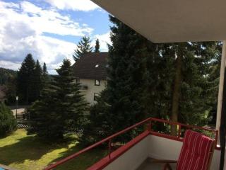 Gemütliche 4 Sterne Wohnung In Braunlage - 3
