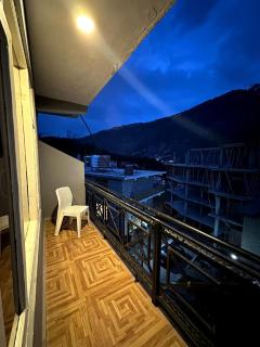 Krishana Cottage A Pure Veg !!!300 m From Hadimba Temple!!!Balcony Rooms!!!Veg Restaurant!!!Couple Friendly!!!Family Cottage!!! - 2