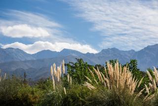 Acogedora cabaña de madera con vista a la montaña - 5