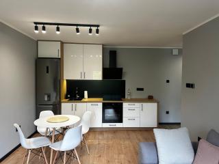 Apartament Helenka - Zabrze - 9