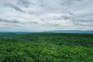 Brigadoon - Pet Friendly, Wifi, Pool Access, King Bed, Hiking, Wood Stove, Family Friendly, Deck - 8