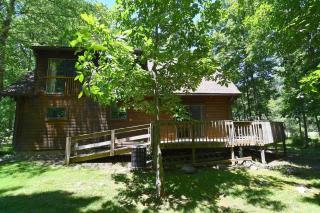 Lazy Bear Retreat - Wifi, Pet Friendly, Grill, Fire Pit, Fireplace, Deck, Golf, Hiking - Morton Grove - 9