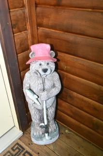 Lazy Bear Retreat - Wifi, Pet Friendly, Grill, Fire Pit, Fireplace, Deck, Golf, Hiking - Morton Grove - 6